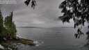 ./images/koeye/fitz-hugh/20250528/fitz-hugh20250528_183510M.jpg