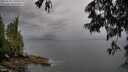 ./images/koeye/fitz-hugh/20250528/fitz-hugh20250528_190009M.jpg