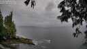 ./images/koeye/fitz-hugh/20250528/fitz-hugh20250528_191009M.jpg