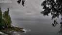 ./images/koeye/fitz-hugh/20250528/fitz-hugh20250528_191506M.jpg