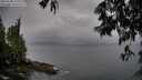 ./images/koeye/fitz-hugh/20250528/fitz-hugh20250528_193508M.jpg