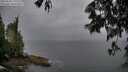 ./images/koeye/fitz-hugh/20250528/fitz-hugh20250528_195508M.jpg