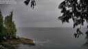 ./images/koeye/fitz-hugh/20250528/fitz-hugh20250528_200509M.jpg