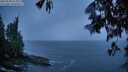 ./images/koeye/fitz-hugh/20250528/fitz-hugh20250528_213508M.jpg