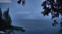 ./images/koeye/fitz-hugh/20250528/fitz-hugh20250528_214508M.jpg
