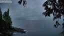 ./images/koeye/fitz-hugh/20250528/fitz-hugh20250528_215009M.jpg