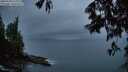 ./images/koeye/fitz-hugh/20250528/fitz-hugh20250528_215508M.jpg