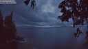 ./images/koeye/fitz-hugh/20250529/fitz-hugh20250529_043508M.jpg