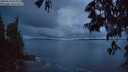 ./images/koeye/fitz-hugh/20250529/fitz-hugh20250529_044508M.jpg