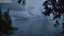 ./images/koeye/fitz-hugh/20250529/fitz-hugh20250529_045009M.jpg