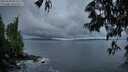 ./images/koeye/fitz-hugh/20250529/fitz-hugh20250529_050509M.jpg