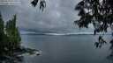 ./images/koeye/fitz-hugh/20250529/fitz-hugh20250529_051009M.jpg