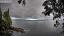 ./images/koeye/fitz-hugh/20250529/fitz-hugh20250529_054006M.jpg