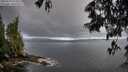 ./images/koeye/fitz-hugh/20250529/fitz-hugh20250529_055009M.jpg