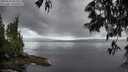 ./images/koeye/fitz-hugh/20250529/fitz-hugh20250529_061510M.jpg