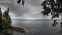 ./images/koeye/fitz-hugh/20250529/fitz-hugh20250529_062508M.jpg