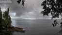 ./images/koeye/fitz-hugh/20250529/fitz-hugh20250529_063010M.jpg