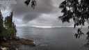 ./images/koeye/fitz-hugh/20250529/fitz-hugh20250529_063509M.jpg