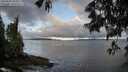 ./images/koeye/fitz-hugh/20250529/fitz-hugh20250529_065010M.jpg