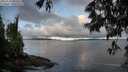 ./images/koeye/fitz-hugh/20250529/fitz-hugh20250529_065510M.jpg