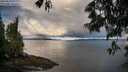 ./images/koeye/fitz-hugh/20250529/fitz-hugh20250529_071010M.jpg