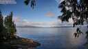 ./images/koeye/fitz-hugh/20250529/fitz-hugh20250529_073510M.jpg