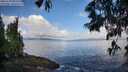 ./images/koeye/fitz-hugh/20250529/fitz-hugh20250529_081010M.jpg