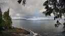 ./images/koeye/fitz-hugh/20250529/fitz-hugh20250529_083510M.jpg