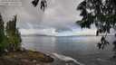 ./images/koeye/fitz-hugh/20250529/fitz-hugh20250529_084509M.jpg