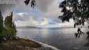 ./images/koeye/fitz-hugh/20250529/fitz-hugh20250529_085010M.jpg