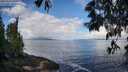 ./images/koeye/fitz-hugh/20250529/fitz-hugh20250529_090012M.jpg