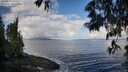 ./images/koeye/fitz-hugh/20250529/fitz-hugh20250529_090509M.jpg