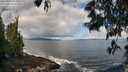 ./images/koeye/fitz-hugh/20250529/fitz-hugh20250529_092009M.jpg