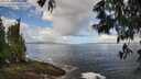 ./images/koeye/fitz-hugh/20250529/fitz-hugh20250529_095009M.jpg