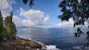 ./images/koeye/fitz-hugh/20250529/fitz-hugh20250529_100510M.jpg