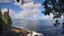 ./images/koeye/fitz-hugh/20250529/fitz-hugh20250529_101511M.jpg