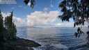./images/koeye/fitz-hugh/20250529/fitz-hugh20250529_103011M.jpg