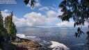 ./images/koeye/fitz-hugh/20250529/fitz-hugh20250529_103509M.jpg