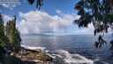 ./images/koeye/fitz-hugh/20250529/fitz-hugh20250529_104509M.jpg