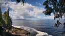 ./images/koeye/fitz-hugh/20250529/fitz-hugh20250529_105011M.jpg