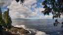 ./images/koeye/fitz-hugh/20250529/fitz-hugh20250529_105507M.jpg