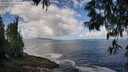 ./images/koeye/fitz-hugh/20250529/fitz-hugh20250529_110009M.jpg