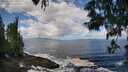 ./images/koeye/fitz-hugh/20250529/fitz-hugh20250529_110510M.jpg