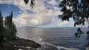 ./images/koeye/fitz-hugh/20250529/fitz-hugh20250529_111010M.jpg