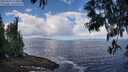 ./images/koeye/fitz-hugh/20250529/fitz-hugh20250529_112011M.jpg