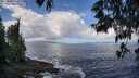 ./images/koeye/fitz-hugh/20250529/fitz-hugh20250529_112508M.jpg