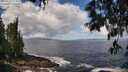 ./images/koeye/fitz-hugh/20250529/fitz-hugh20250529_113010M.jpg