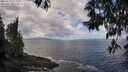 ./images/koeye/fitz-hugh/20250529/fitz-hugh20250529_113510M.jpg