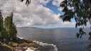 ./images/koeye/fitz-hugh/20250529/fitz-hugh20250529_114010M.jpg