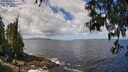 ./images/koeye/fitz-hugh/20250529/fitz-hugh20250529_115009M.jpg